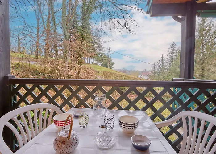 T1 Lumineux Avec Balcon Et Wifi A Barbotan, Animaux Admis - Fr-1-841-19 バルボタン・レ・テルム