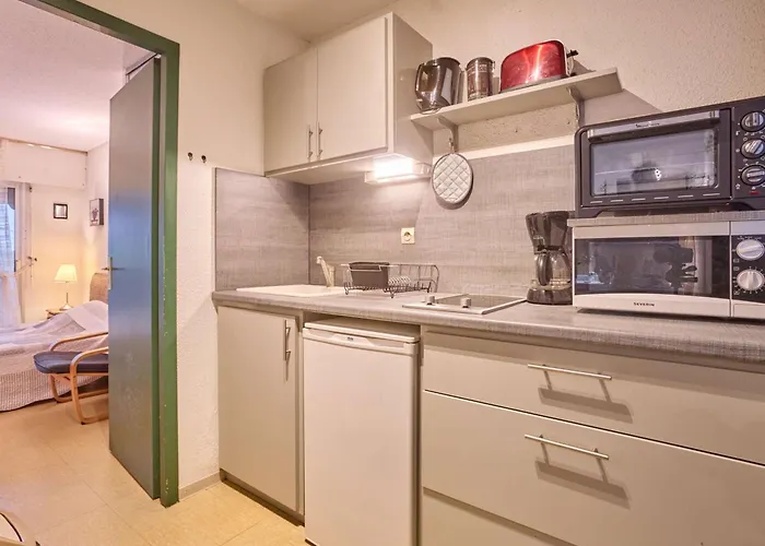 T1 Lumineux Avec Balcon Et Wifi A Barbotan, Animaux Admis - Fr-1-841-19 アパート *