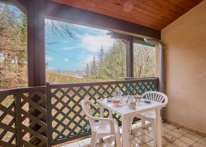 T1 Lumineux Avec Balcon Et Wifi A Barbotan, Animaux Admis - Fr-1-841-19 *