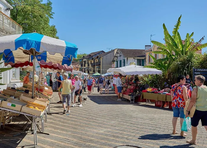 T1 Lumineux Avec Balcon Et Wifi A Barbotan, Animaux Admis - Fr-1-841-19 アパート *