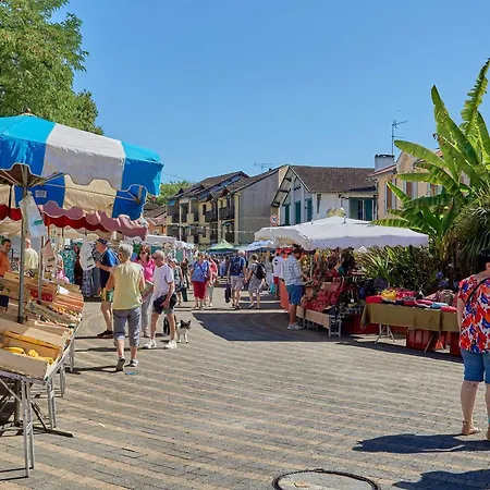 T1 Lumineux Avec Balcon Et Wifi A Barbotan, Animaux Admis - Fr-1-841-19 Apartment *