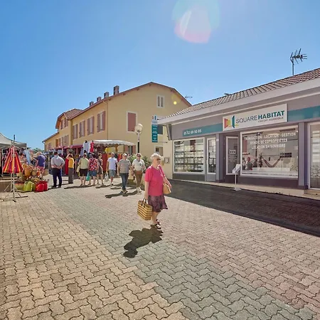 Apartment T1 Lumineux Avec Balcon Et Wifi A Barbotan, Animaux Admis - Fr-1-841-19 *