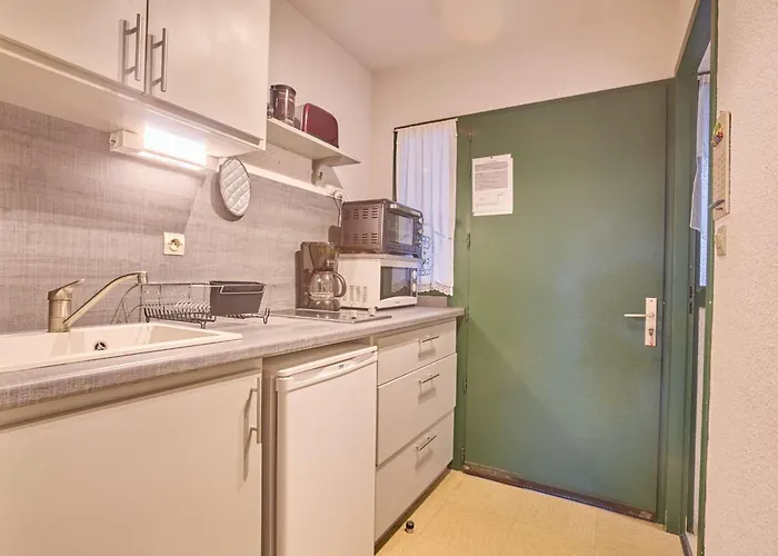 T1 Lumineux Avec Balcon Et Wifi A Barbotan, Animaux Admis - Fr-1-841-19 Apartment *