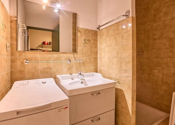 Apartment T1 Lumineux Avec Balcon Et Wifi A Barbotan, Animaux Admis - Fr-1-841-19 *