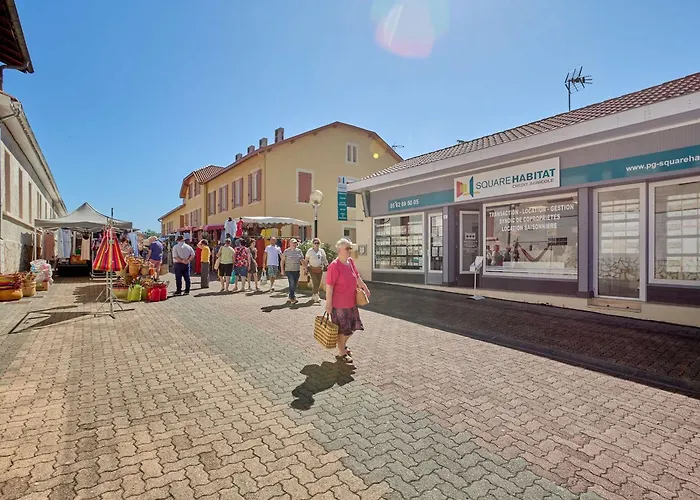 Apartment T1 Lumineux Avec Balcon Et Wifi A Barbotan, Animaux Admis - Fr-1-841-19 *